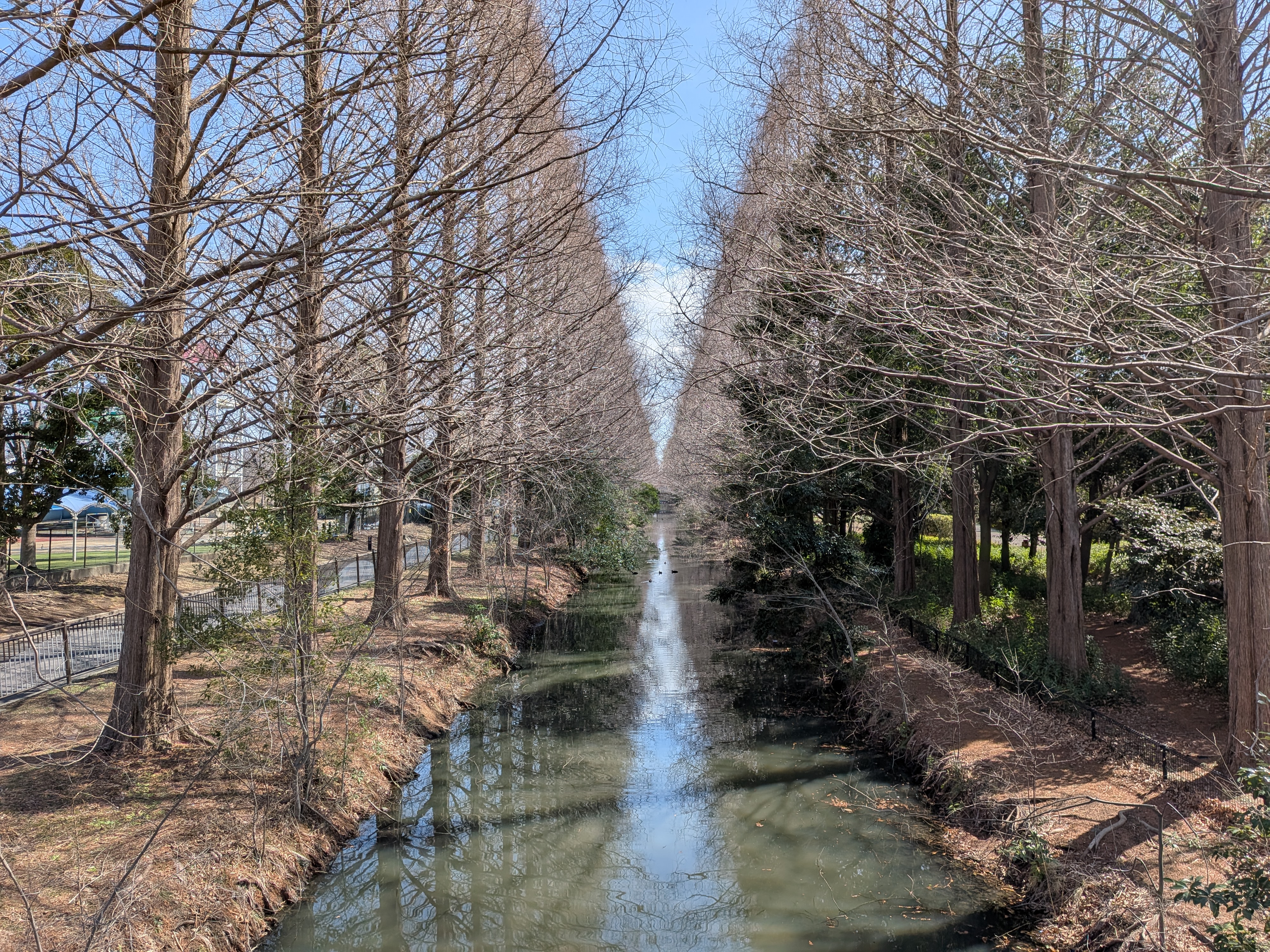 画像が削除されました