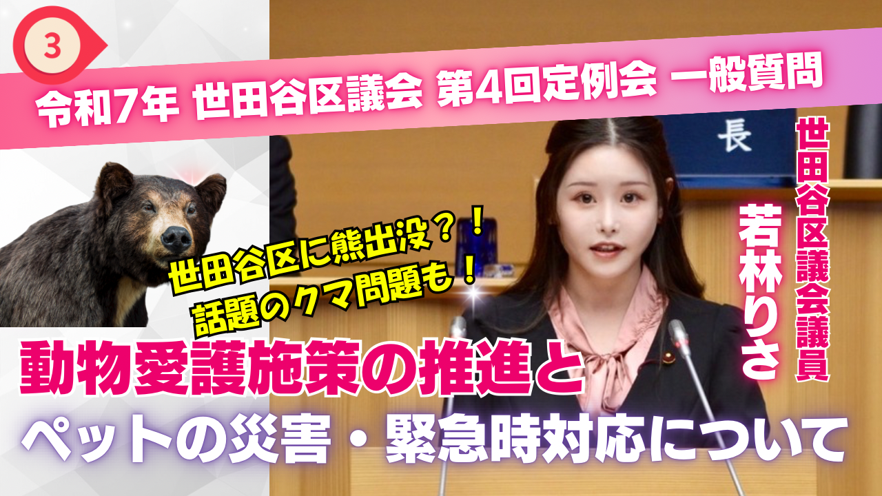 【世田谷区議】動物愛護施策の推進とペット災害/世田谷区でも熊出没？クマ問題について初質問【若林りさ】 - 若林りさ（ワカバヤシリサ） ｜ 選挙ドットコム