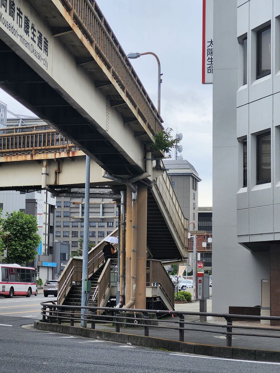 岡崎市 歩道橋の上からド根性な樹木（？）を発見！ - 井町よしたか（イマチヨシタカ） ｜ 選挙ドットコム