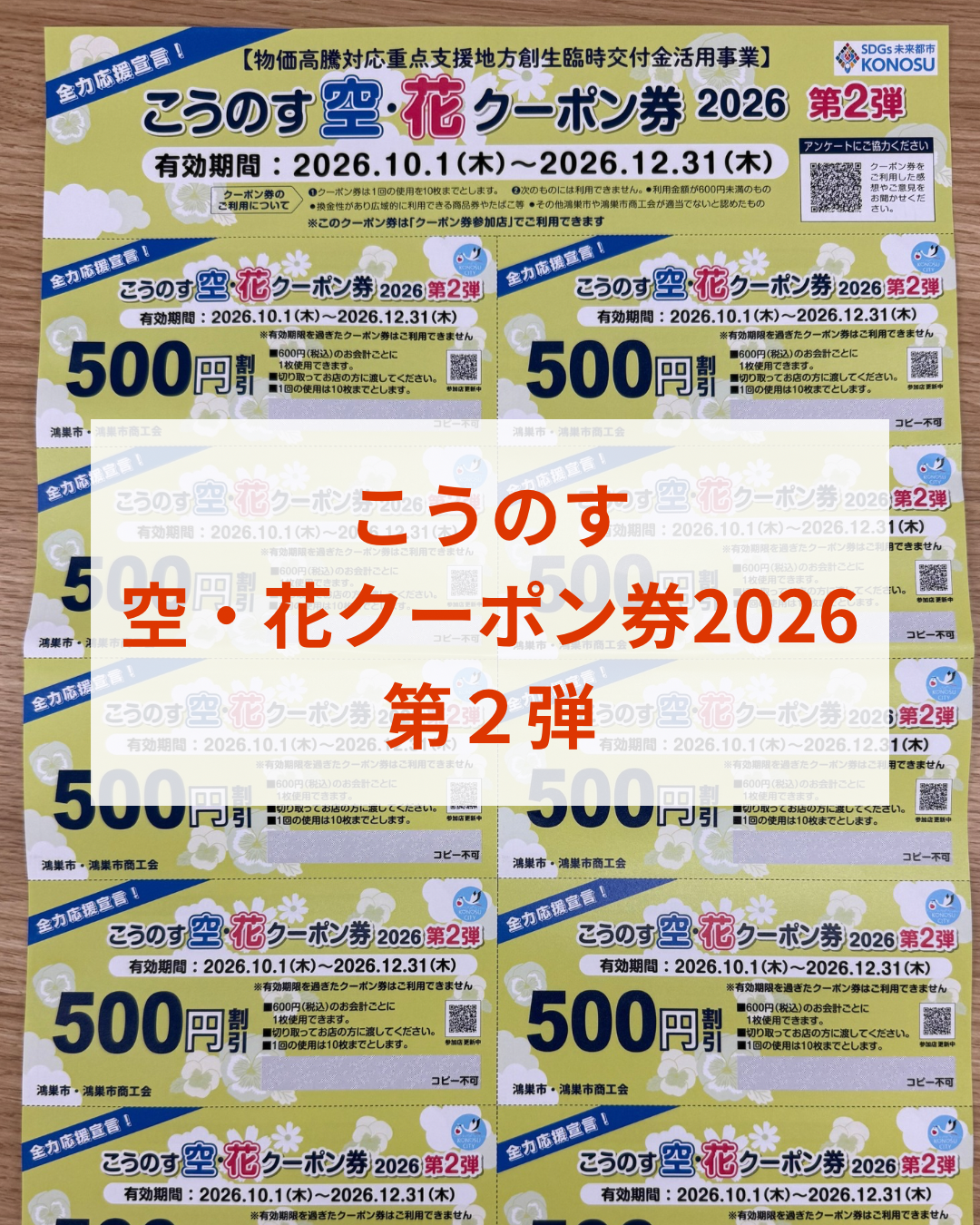 クーポン券 空・花クーポン券2026第2弾｜5,000円分を10月から【鴻巣市議会議員