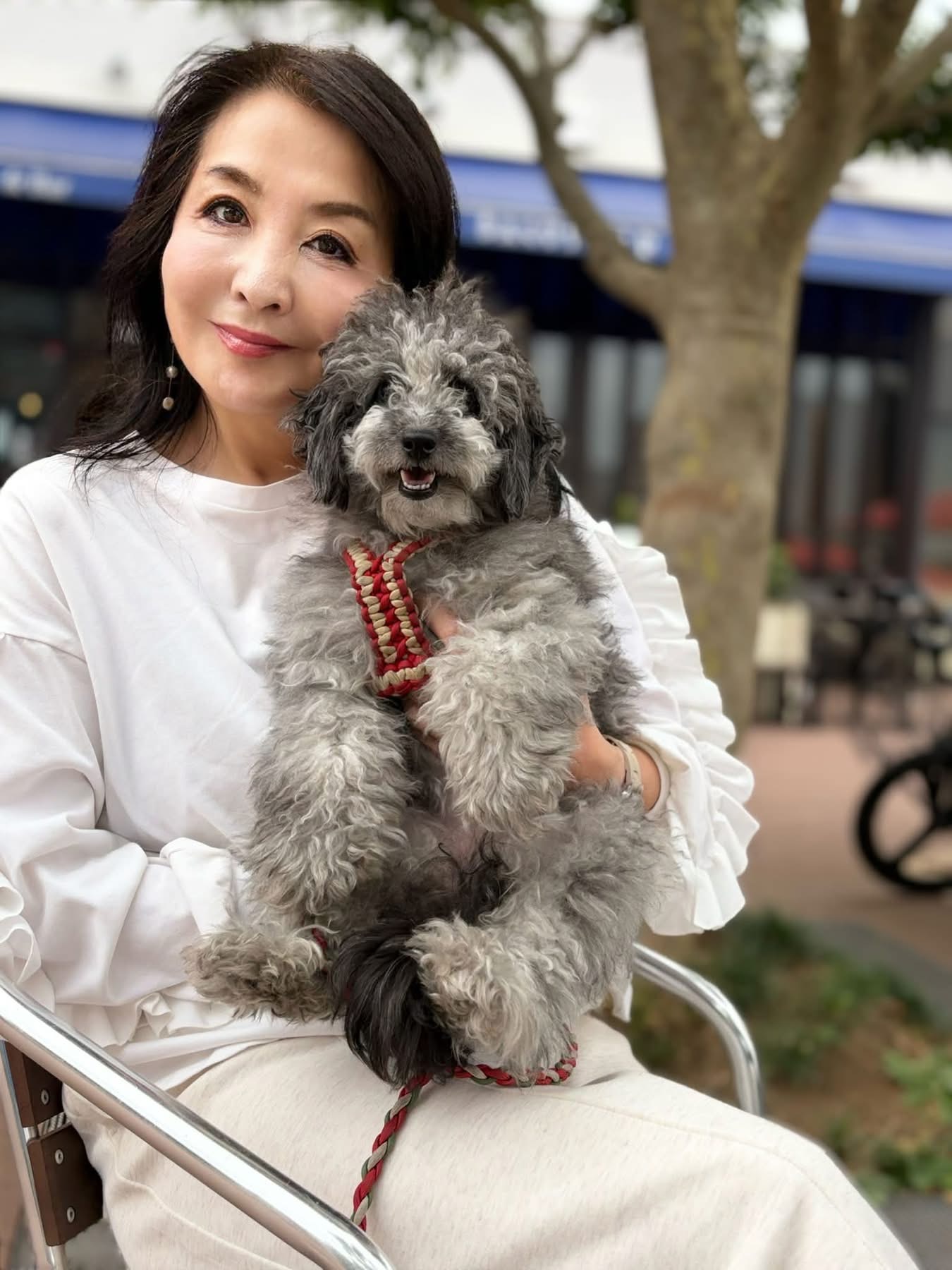 港区で殺処分ゼロを目指して。20年以上続けてきた保護犬活動と、家族に教えてもらった命の大切さ - 大塚由夏（オオツカユカ） ｜ 選挙ドットコム