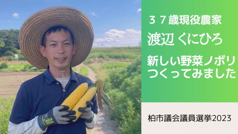 柏市議会議員選挙2023立候補者