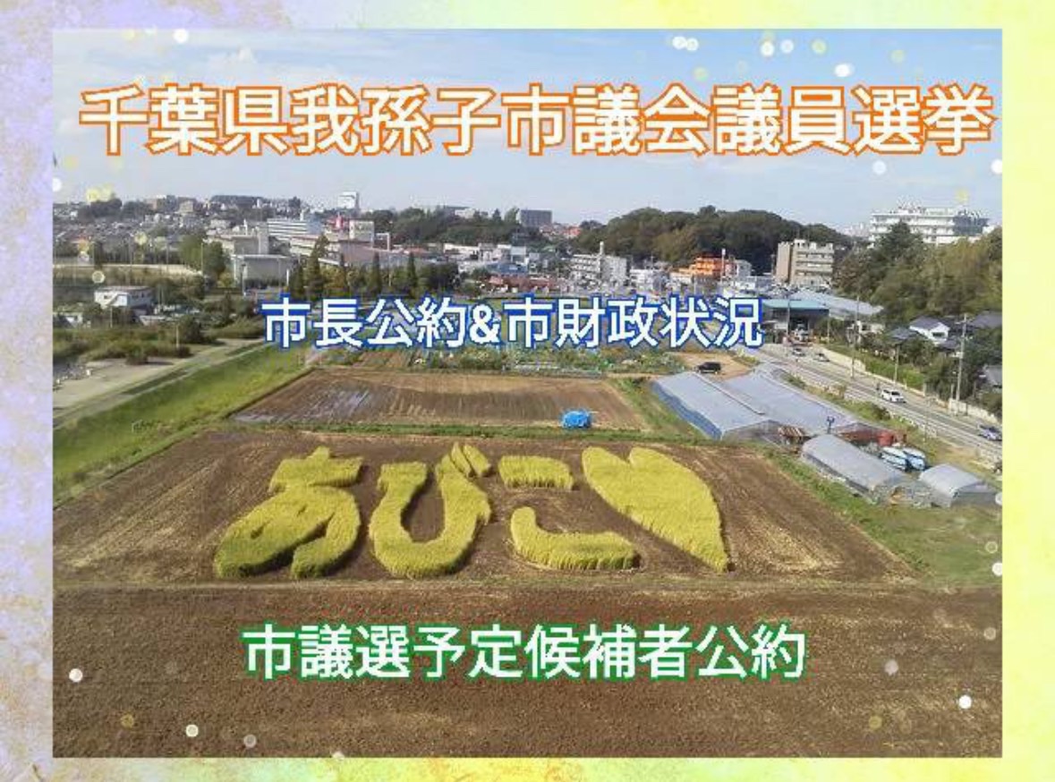 我孫子市議会議員選挙候補者