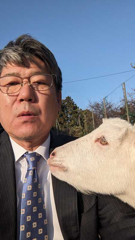 星槎小田原のヤギさんたち - くわはた寿一朗(クワハタジュイチロウ) | 選挙ドットコム