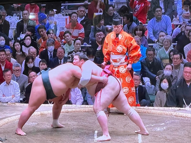 木村浩之　相撲人形　力士像　共箱、共布付き 木村浩之氏の相撲絵 | パパリン日記 2