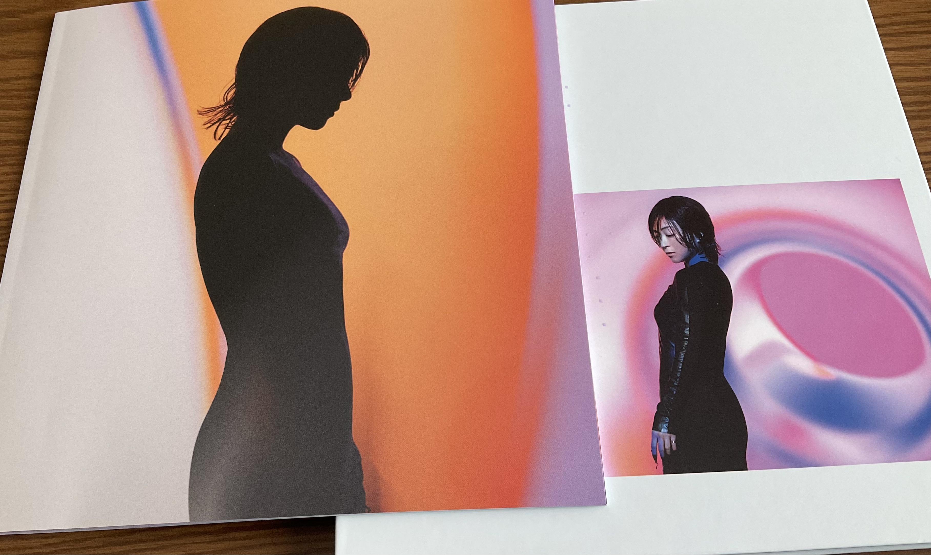 今月発売された宇多田ヒカルさんのベストアルバムを聴いています。 - 片山たつみ(カタヤマタツミ) | 選挙ドットコム