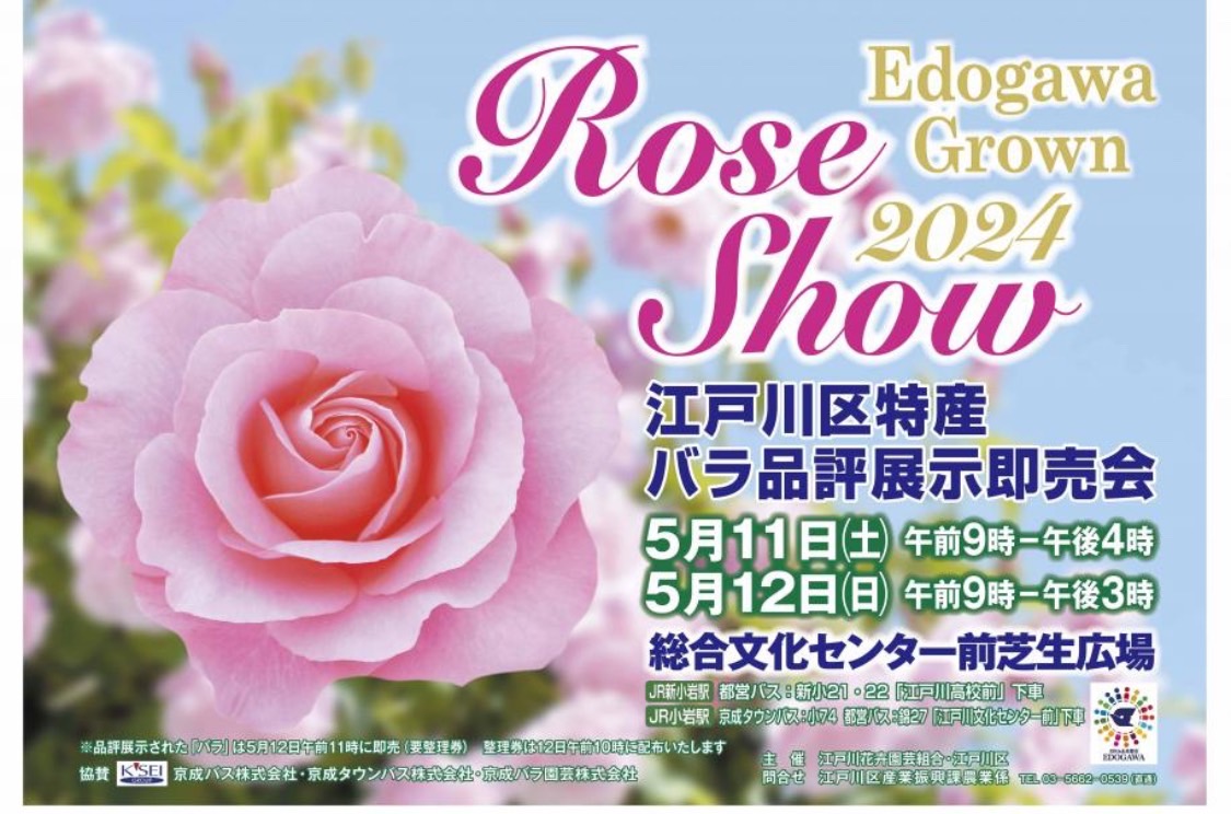 江戸川区特産バラ品評展示即売会 2024年5月11日・12日 - 金井たかし