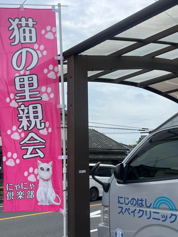 龍脈の精髄 ― 宮崎産 両剣水晶＋クラスター付き＋虹入り 【保護猫活動支援】 Amazon.co.jp: 白崎八幡宮 当選祈願 招き猫守 招き猫チャーム