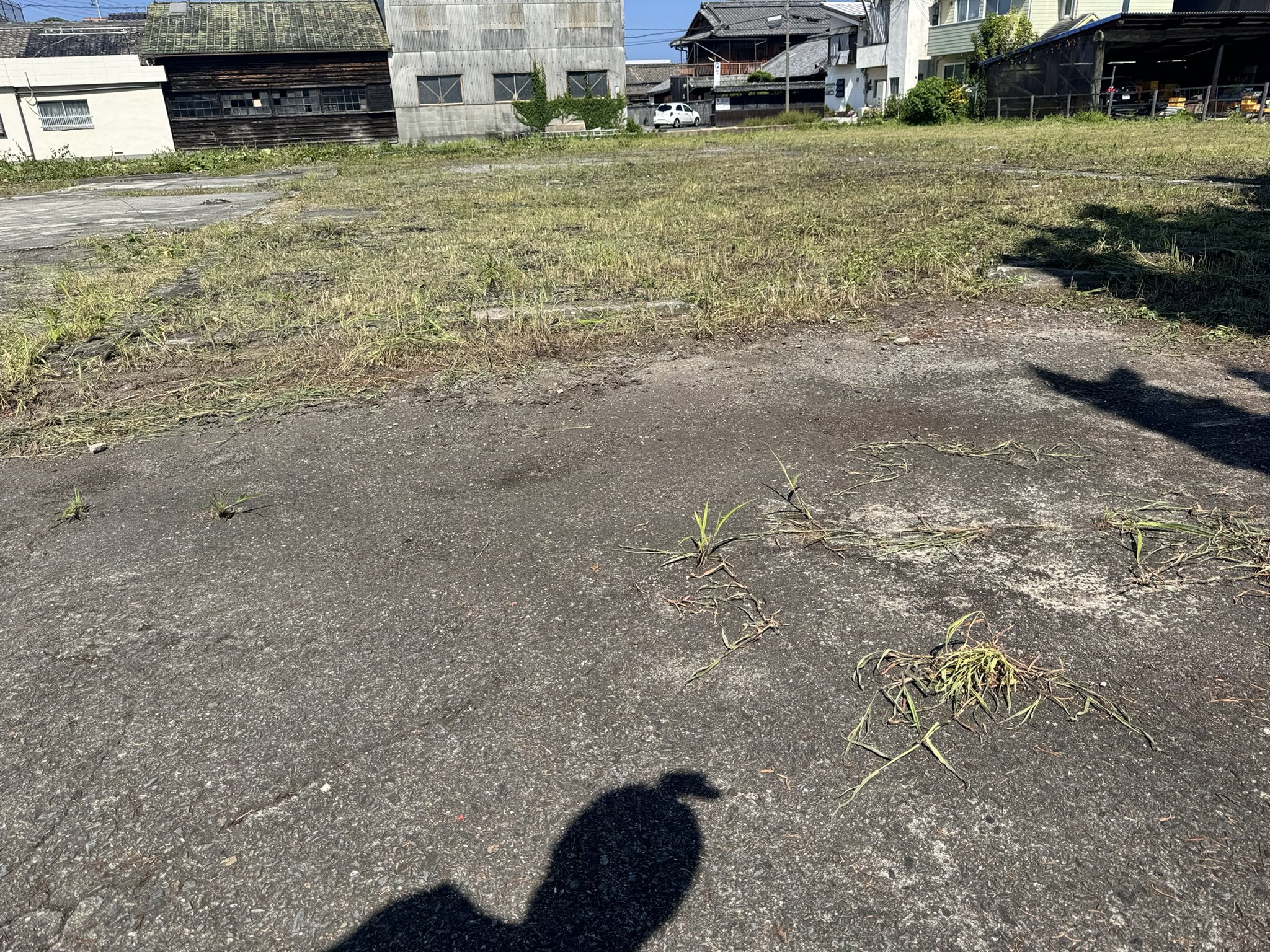 四国中央市議会議員選挙2024候補者