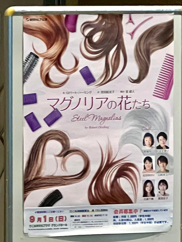 9/1彦根演劇観賞会「マグノリアの花たち」楽しませていただきました。 中沢けいこ（ナカザワケイコ） ｜ 選挙ドットコム