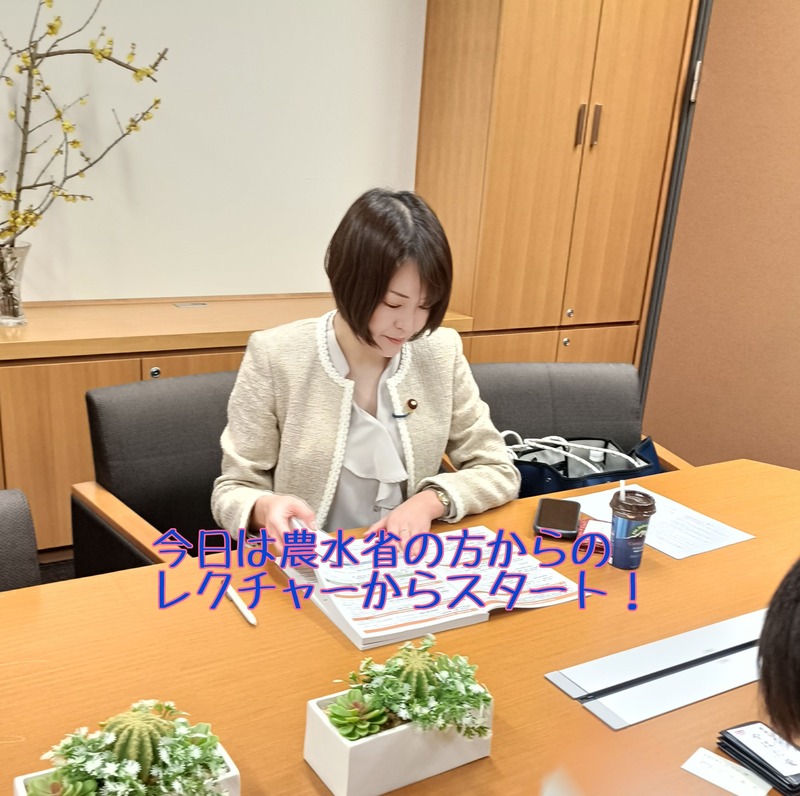 八幡愛 あい人形 前編 やはた愛 れいわ新選組 衆議院議員 愛人形 やはた愛（衆議院議員 比例近畿ブロック選出） - れいわ新選組