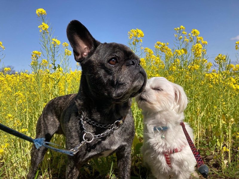 画像が削除されました