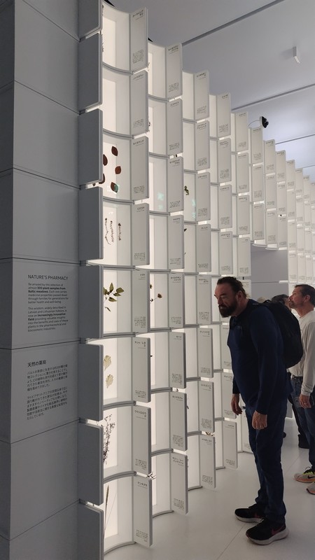 【大阪・関西万博レポ④】バルト館は、バルト三国のうち、ラトビア🇱🇻とリトアニア🇱🇹が参加されて... - 木沢まさと（モクザワマサト ...