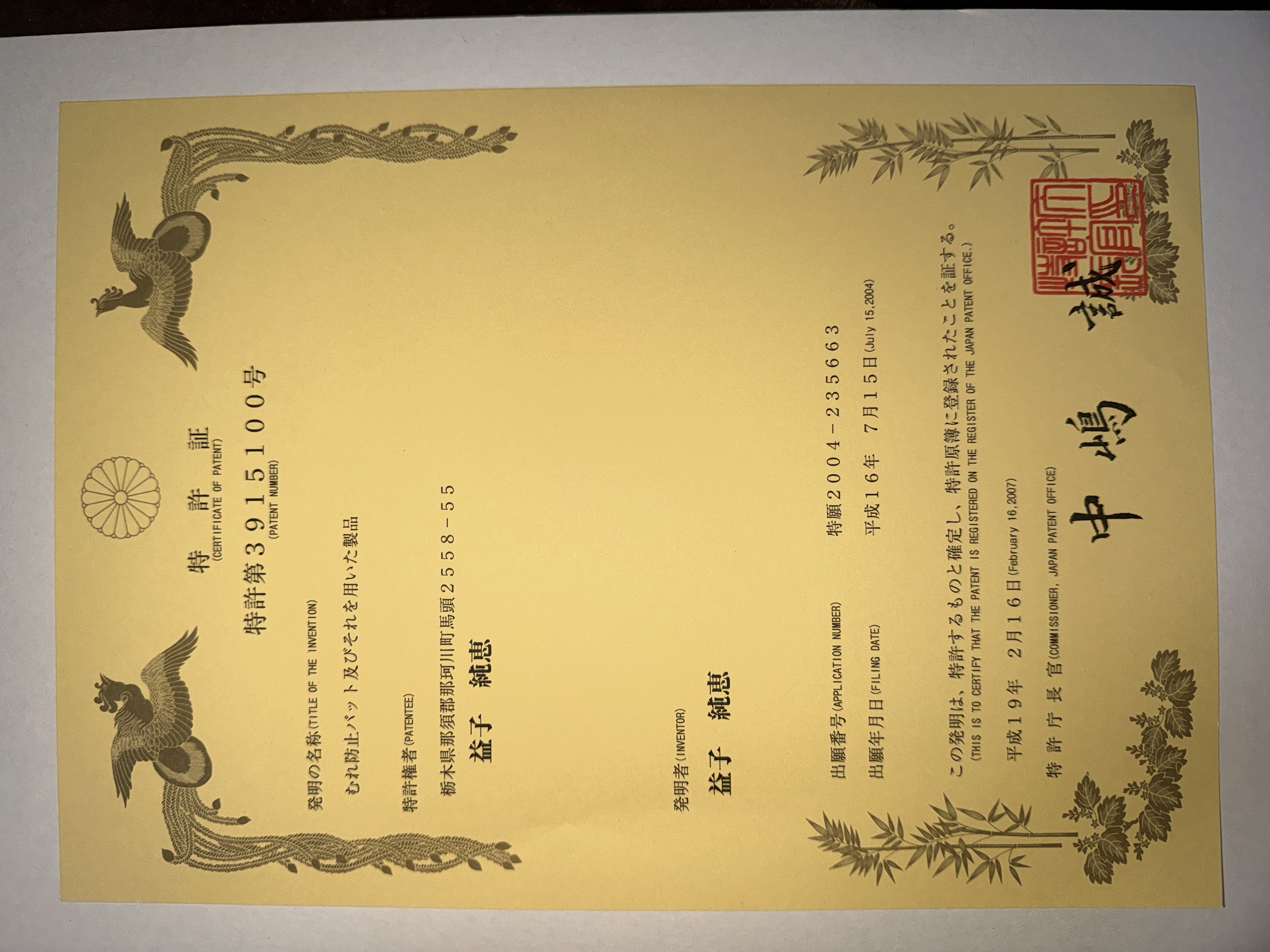 那珂川町 子育てグッズ（おんぶ・抱っこの蒸れ防止）で20年前に取得