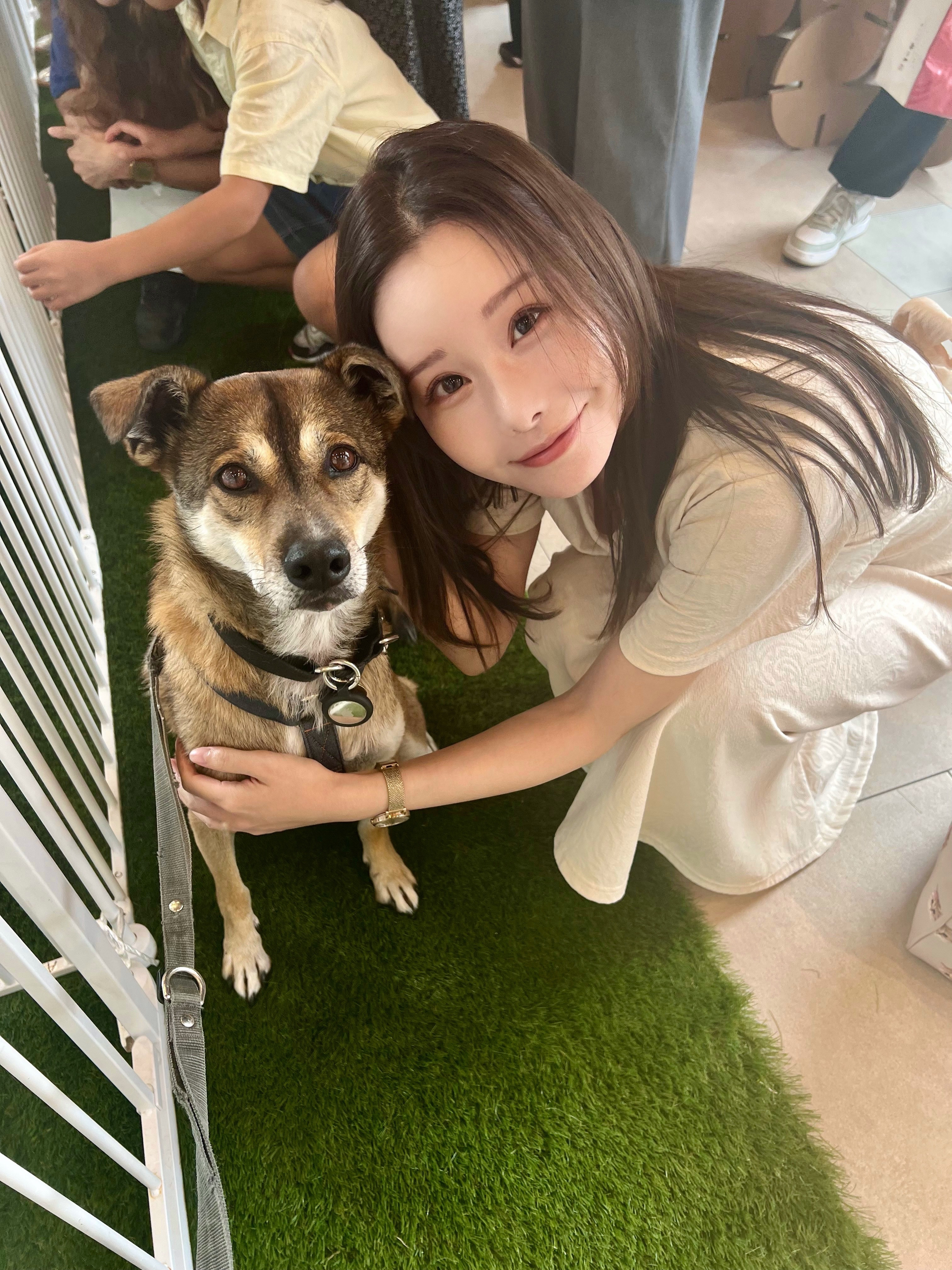 世田谷区議】ピースワンコさんのイベントへ！お迎えするならぜひ保護犬