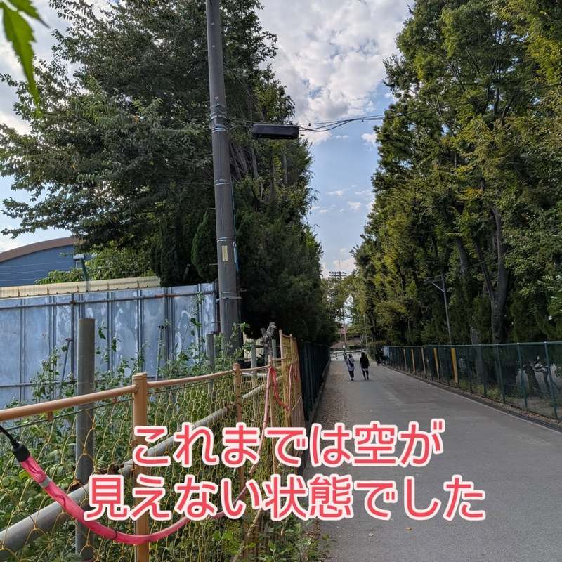 偉大なるメール・セン・テレーズ｜昭和の迫害を未然に防いだ修道女｜雙葉小学校 偉大なるメール・セン・テレーズ｜昭和の迫害を未然に防いだ修道