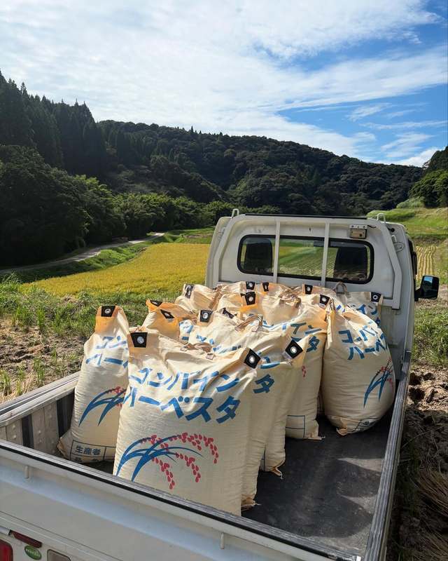 米(籾)30キロ みかchan様専用