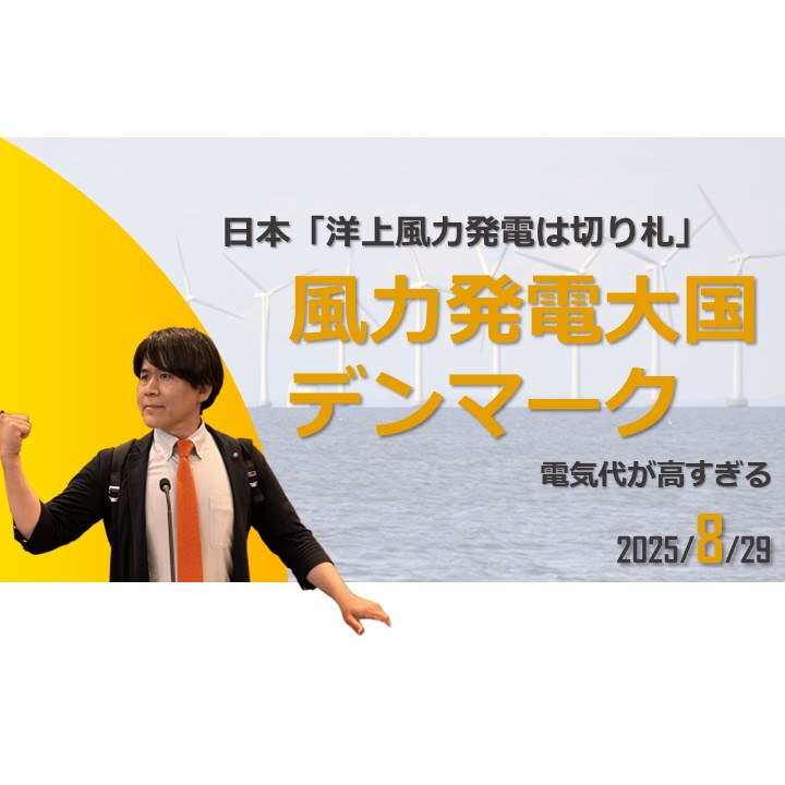 内閣「洋上風力発電は再エネの主力化への”切り札”」➡残念 - 長田