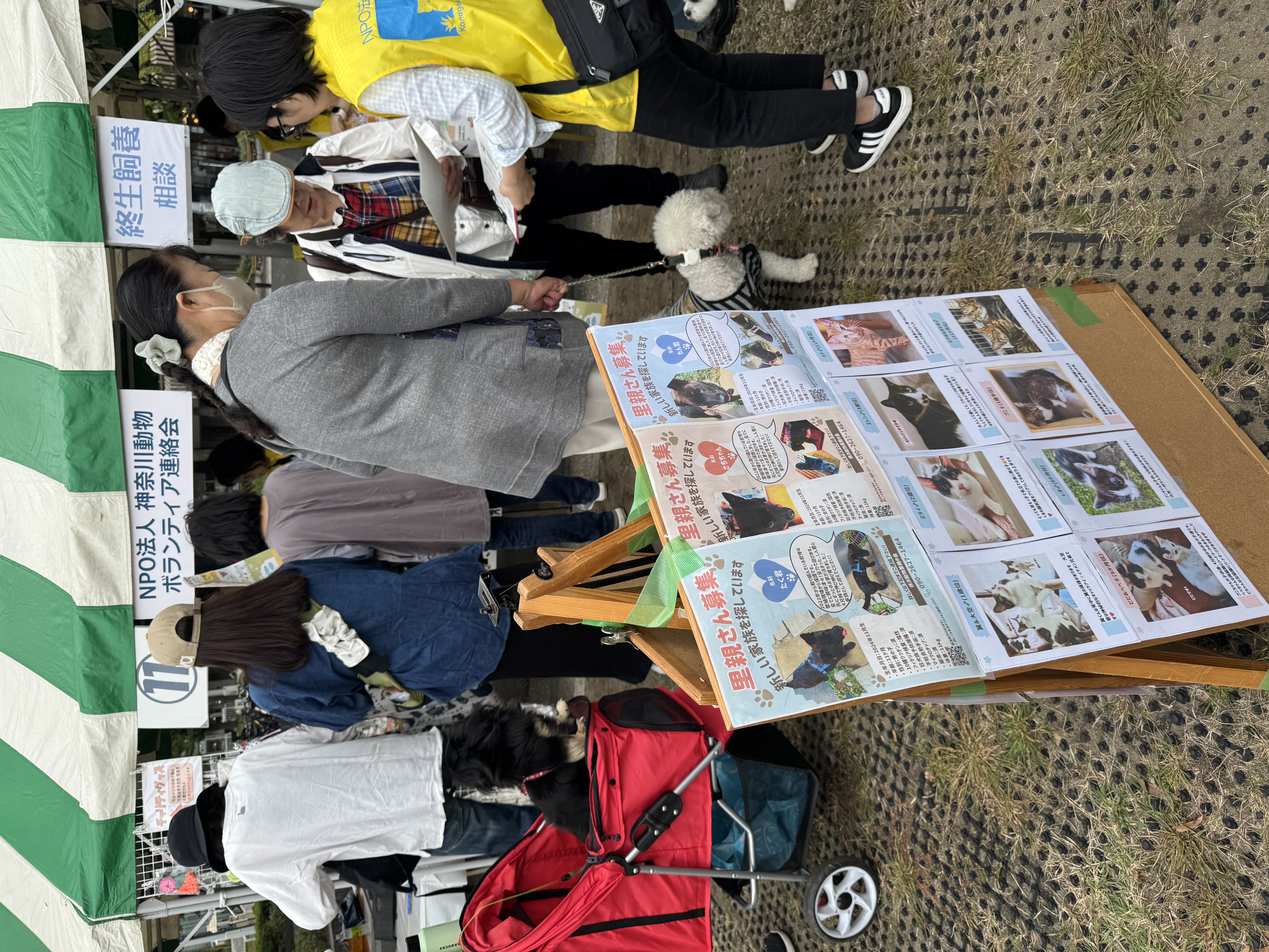 ? 横浜市の動物愛護計画が公表されました 〜人と動物が共に安心して 