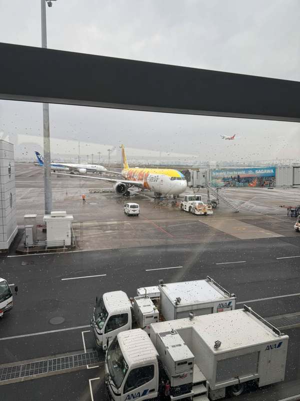 画像が削除されました