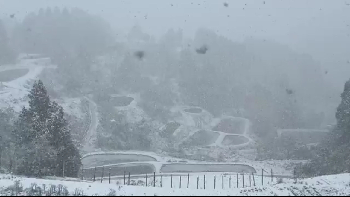❄️ 【長岡市】今日11月18日まさかの初雪…！今年は“冬の訪れ”が早い