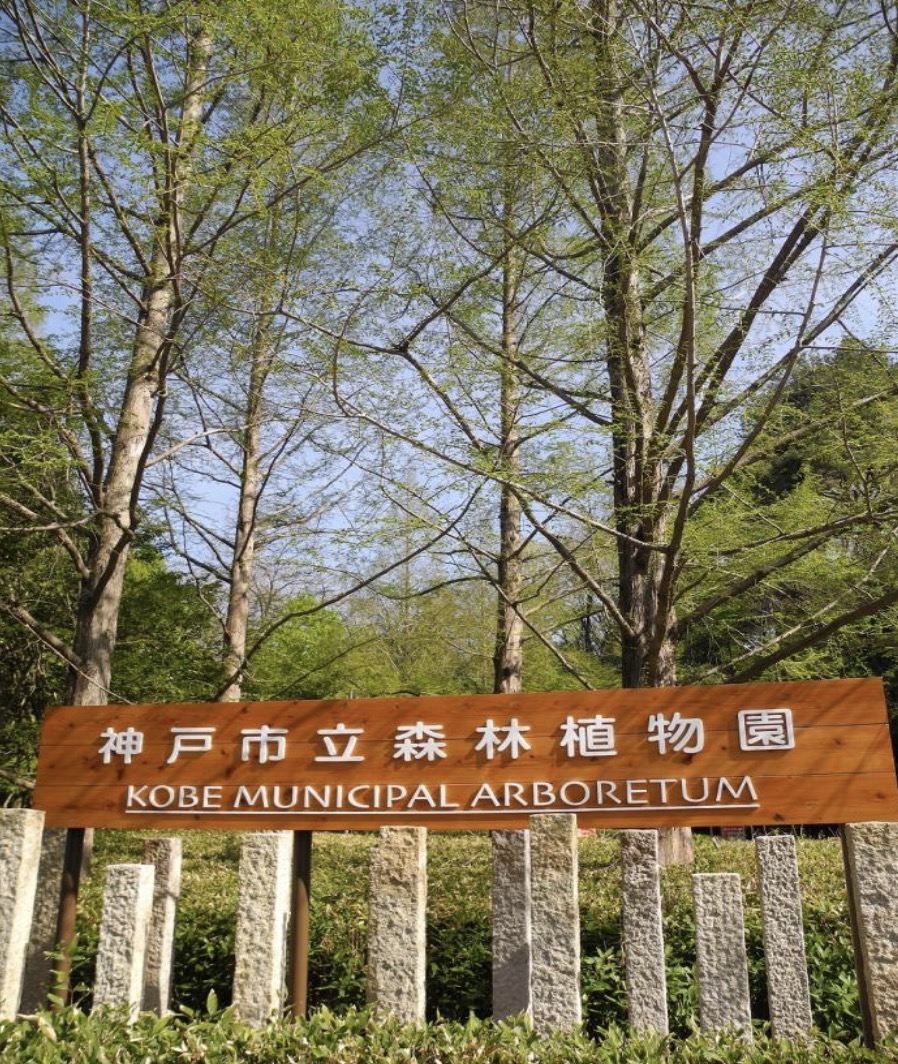 森林 植物園 駐 車場