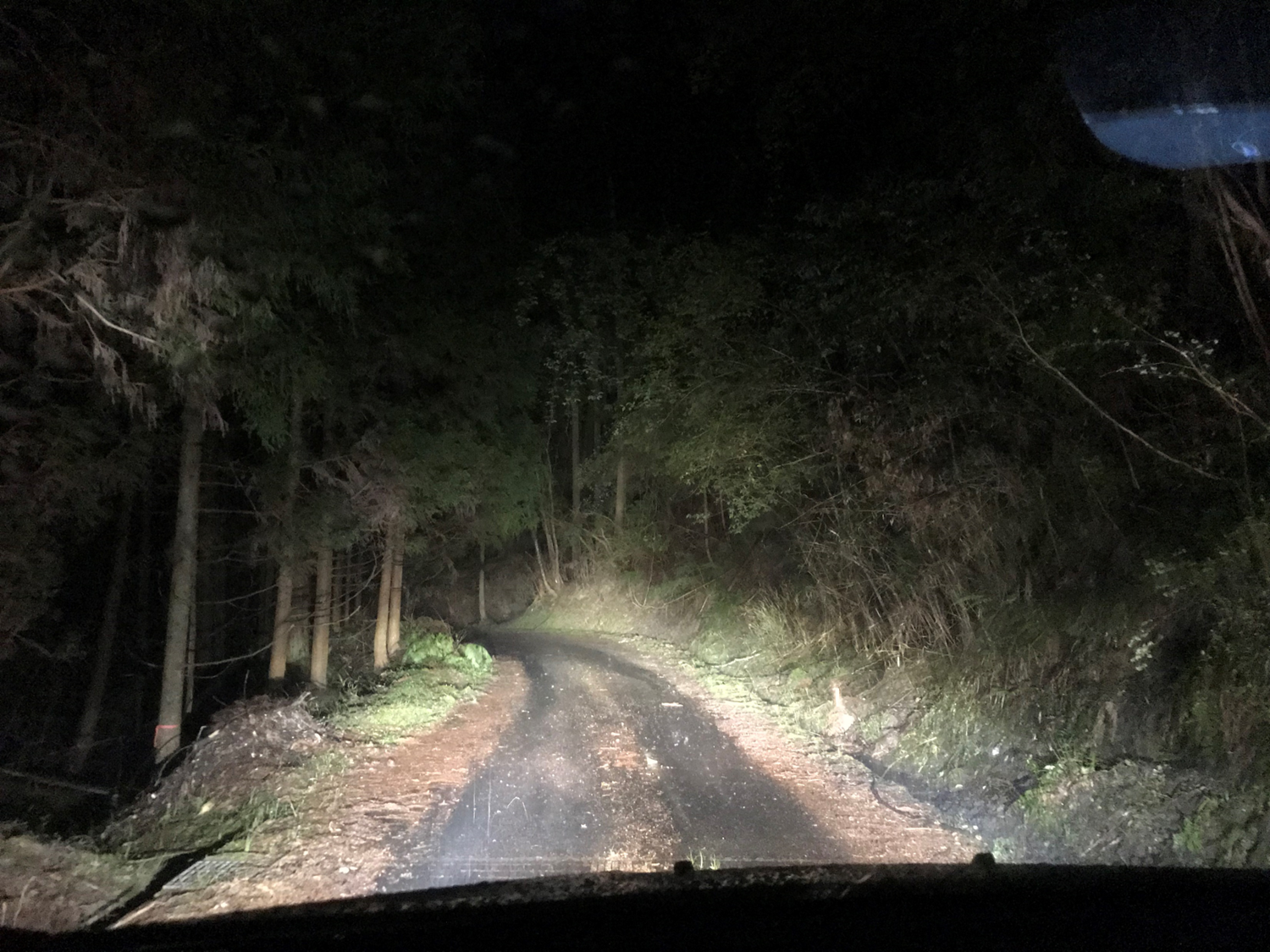 【ゆる旅】 昭和の記憶が残る島 ― 渡鹿野島を訪ねて（2019年） - 長田たくや（ナガタタクヤ） ｜ 選挙ドットコム