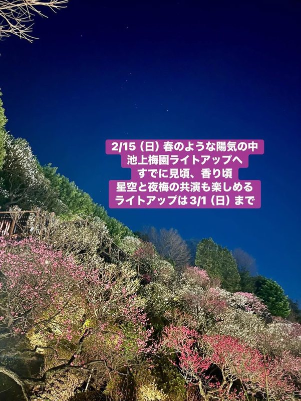 2月15日（日）夕方から夜にかけて、#池上梅園ライトアップへ🚴‍♀️ 1