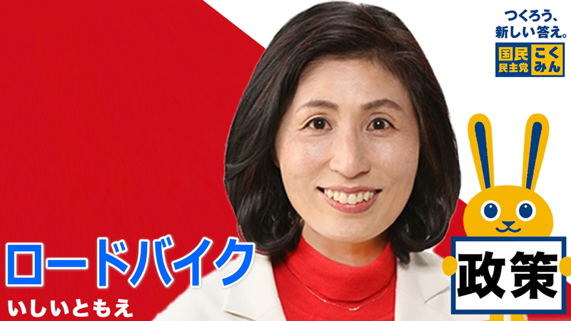 国民民主党