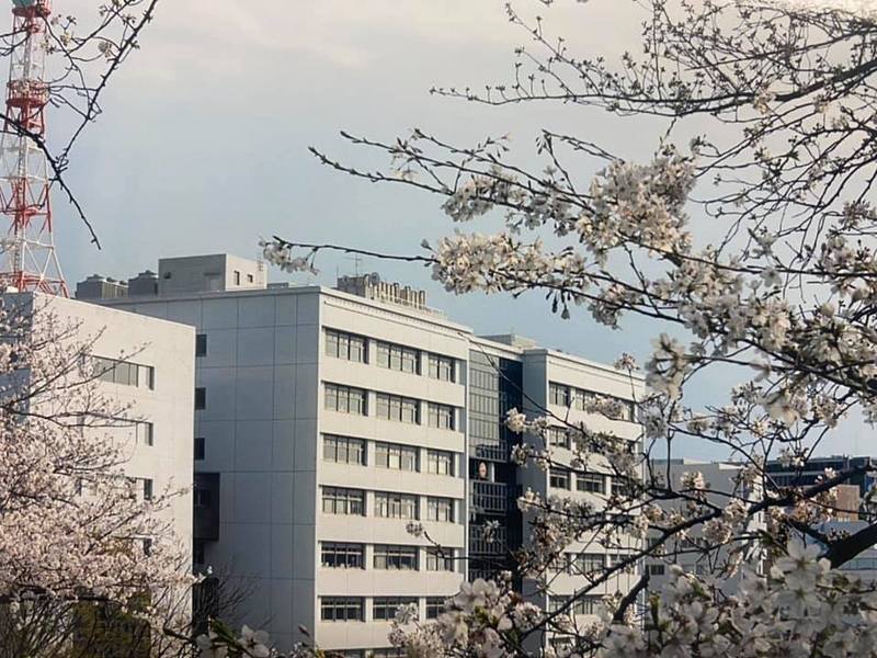 航空自衛隊幹部学校の桜が届きました❗️】東京都目黒区、恵比寿駅から