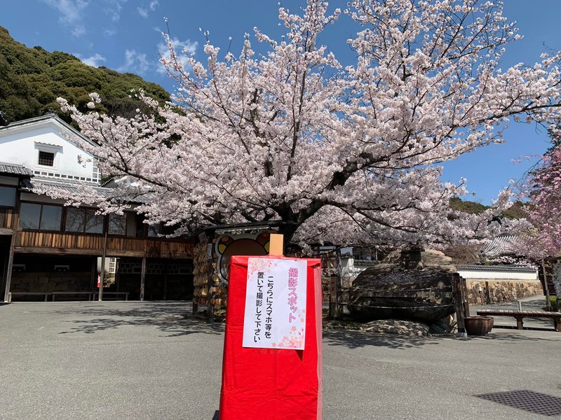 倉敷市議会議員