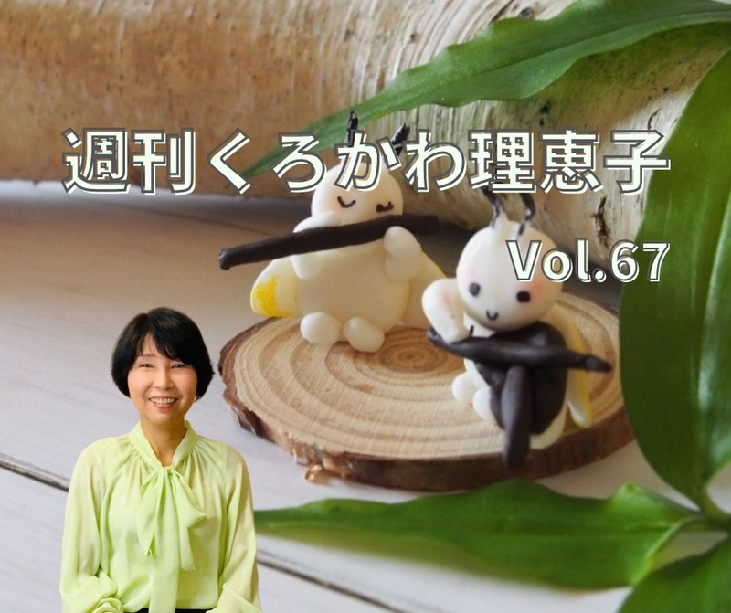 愛媛県議会議員選挙2023の立候補者