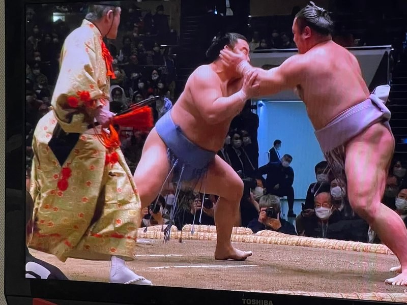 木村浩之　相撲人形　力士像　共箱、共布付き あわせて、木村晃之助】格付は三役行司4人の一人、九重部屋、式