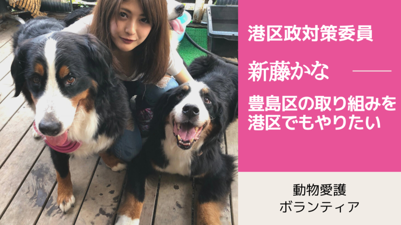 港区議会議員選挙2023の立候補者