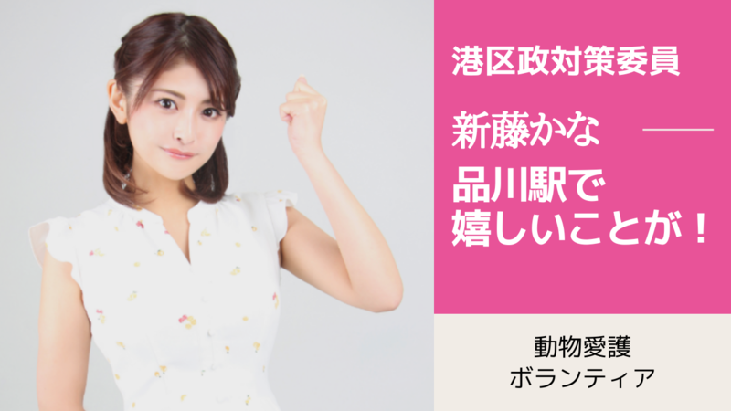 港区議会議員選挙2023の立候補者