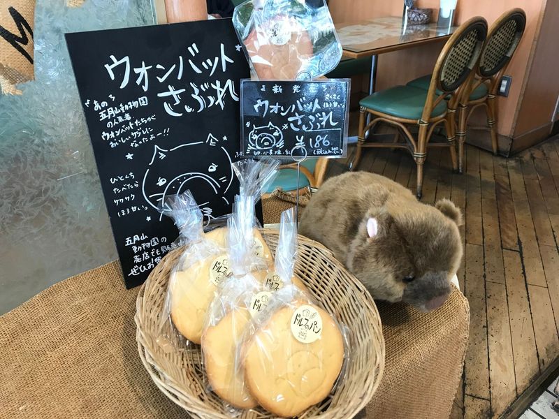 五月山動物園 ウォンバット ぬいぐるみ タグ付き ワイン フク ふるさと