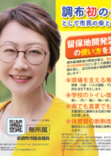 木下やすこの政策