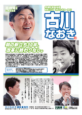 政策のまとめ(選挙運動用ビラ)