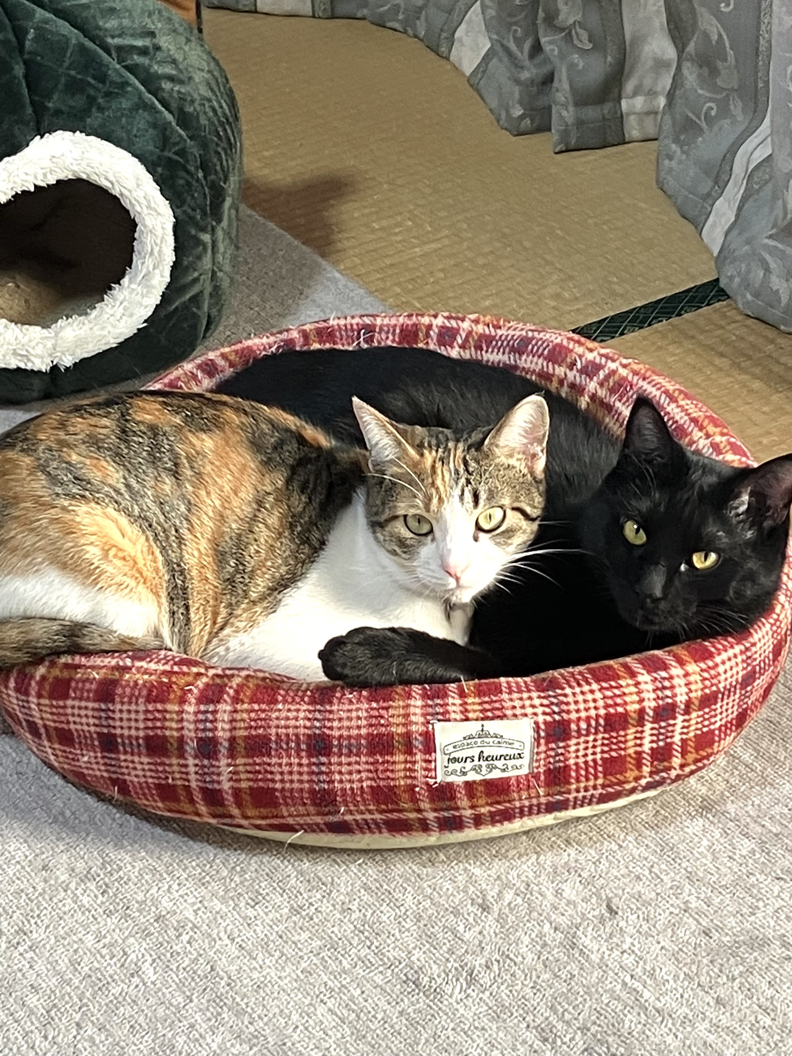 武井正広(タケイマサヒロ)|政治家情報|選挙ドットコム